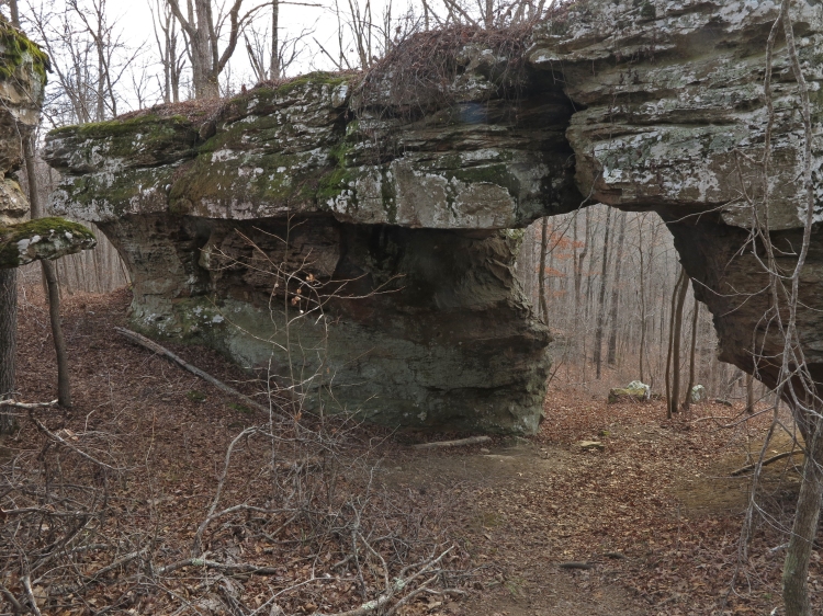 Arched rocks below the bluff.